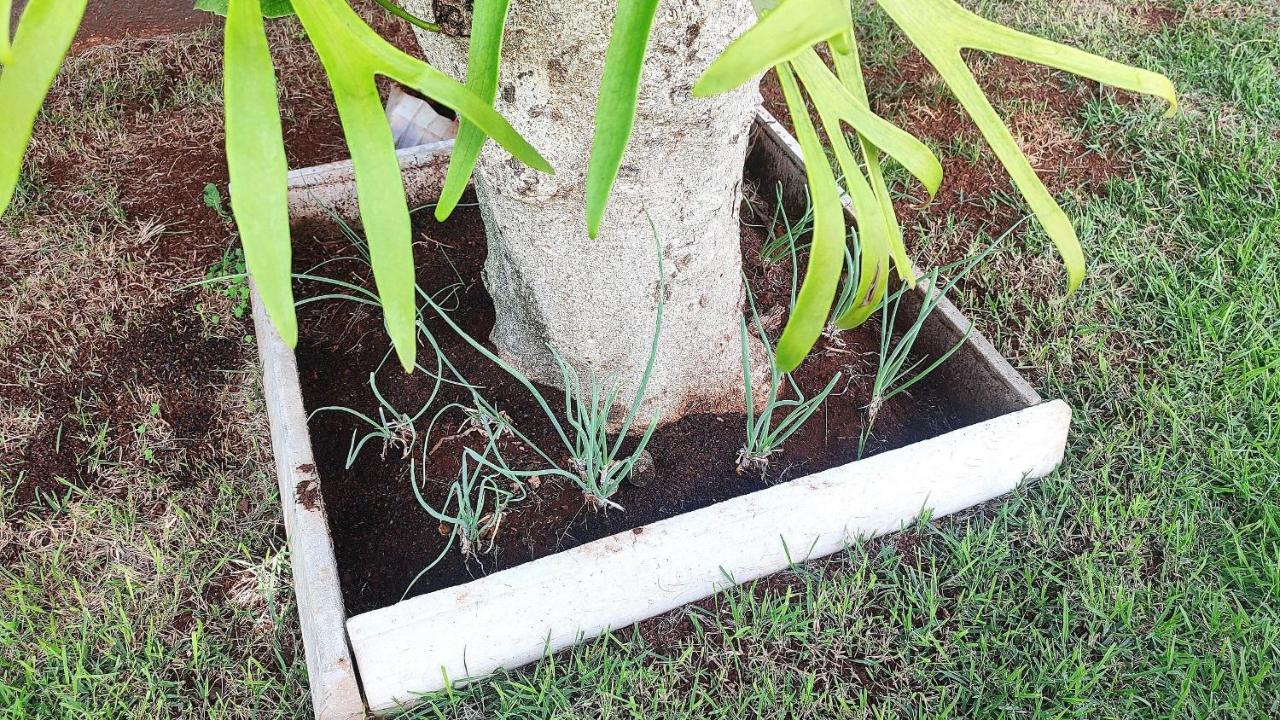 Linda Casa Bairro Tranquilo Prox Cataratas Villa Foz do Iguacu Ngoại thất bức ảnh